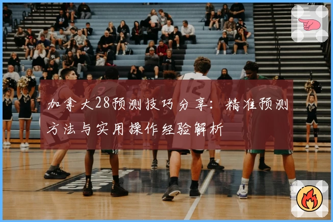 加拿大28预测技巧分享：精准预测方法与实用操作经验解析