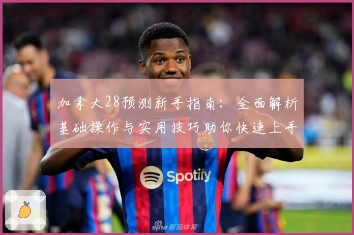 加拿大28预测新手指南:全面解析基础操作与实用技巧助你快速上手