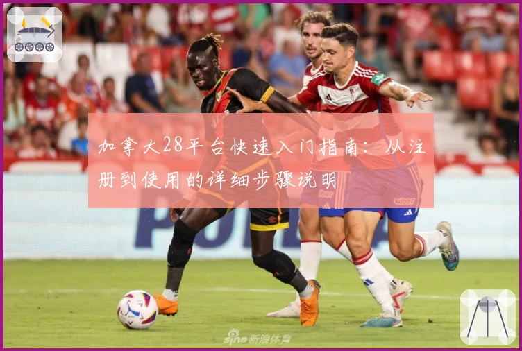 加拿大28平台快速入门指南:从注册到使用的详细步骤说明