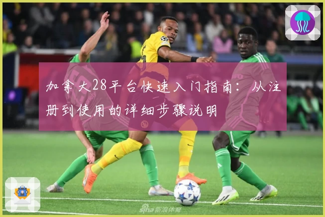 加拿大28平台快速入门指南：从注册到使用的详细步骤说明