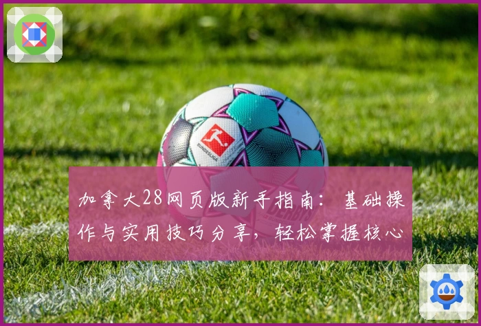 加拿大28网页版新手指南：基础操作与实用技巧分享，轻松掌握核心玩法