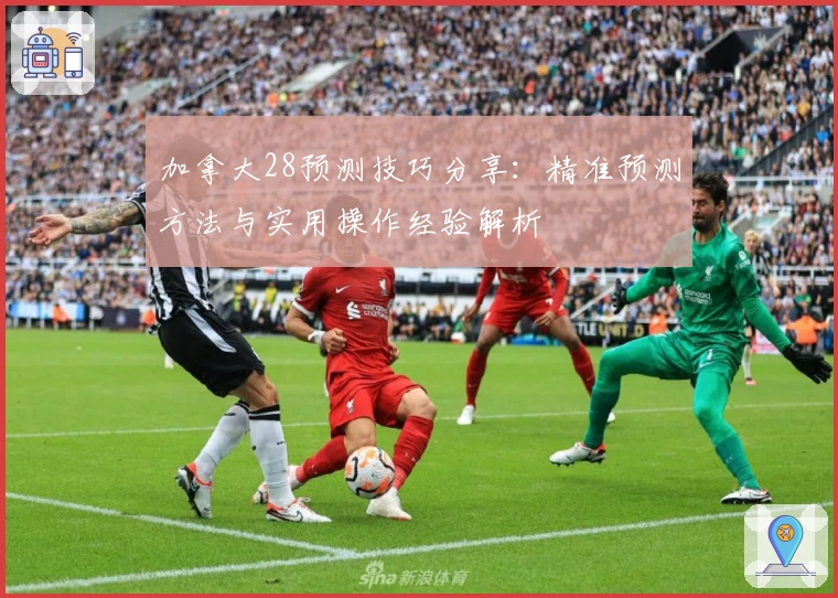加拿大28预测技巧分享：精准预测方法与实用操作经验解析
