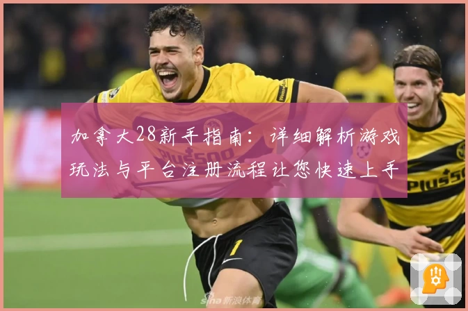 加拿大28新手指南：详细解析游戏玩法与平台注册流程让您快速上手