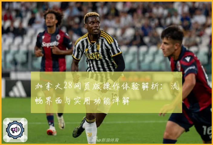 加拿大28网页版操作体验解析：流畅界面与实用功能详解