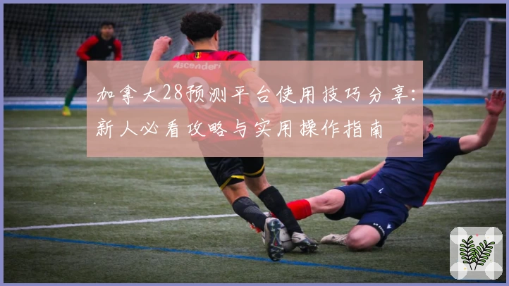 加拿大28预测平台使用技巧分享：新人必看攻略与实用操作指南