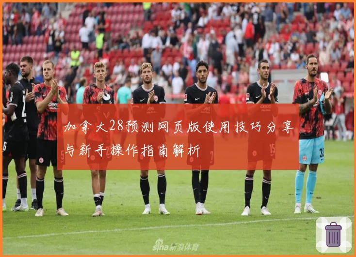 加拿大28预测网页版使用技巧分享与新手操作指南解析