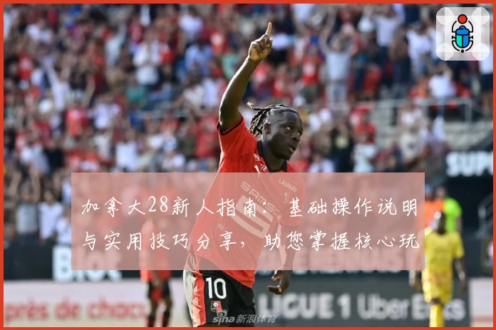加拿大28新人指南：基础操作说明与实用技巧分享，助您掌握核心玩法
