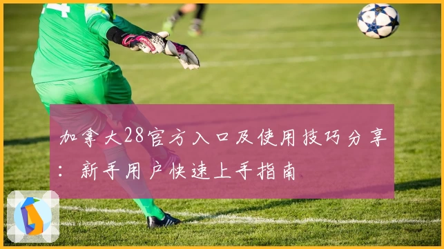 加拿大28官方入口及使用技巧分享：新手用户快速上手指南