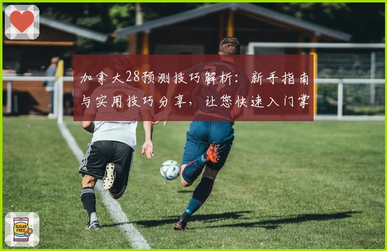 加拿大28预测技巧解析：新手指南与实用技巧分享，让您快速入门掌握核心方法