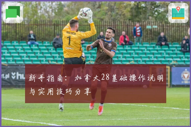 新手指南：加拿大28基础操作说明与实用技巧分享