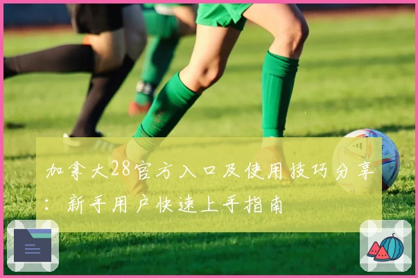 加拿大28官方入口及使用技巧分享：新手用户快速上手指南