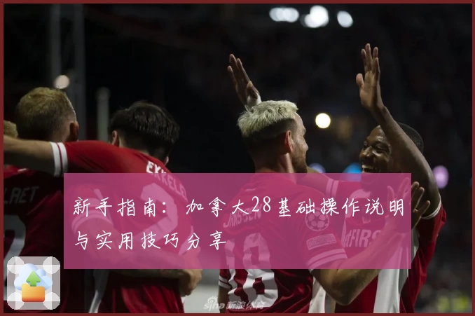 新手指南：加拿大28基础操作说明与实用技巧分享