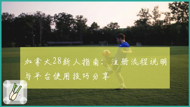 加拿大28新人指南：注册流程说明与平台使用技巧分享